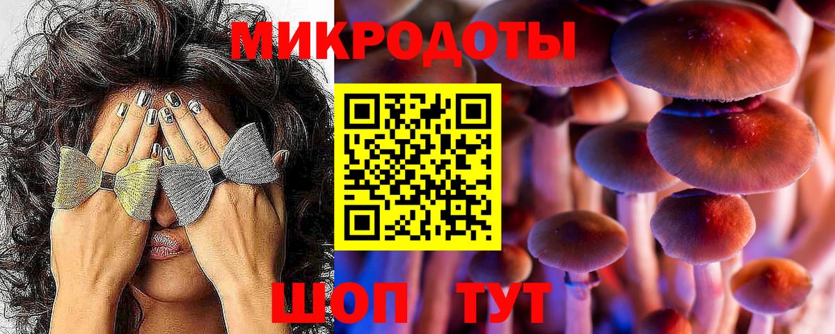 Кисловодск  Галлюциногенные грибы Magic Shrooms  Вход с VPN 